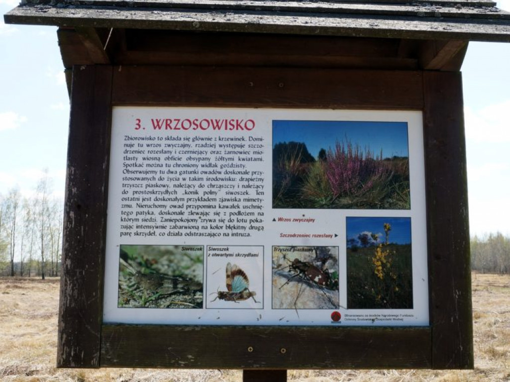 Poleski Park Narodowy - zdjęcia