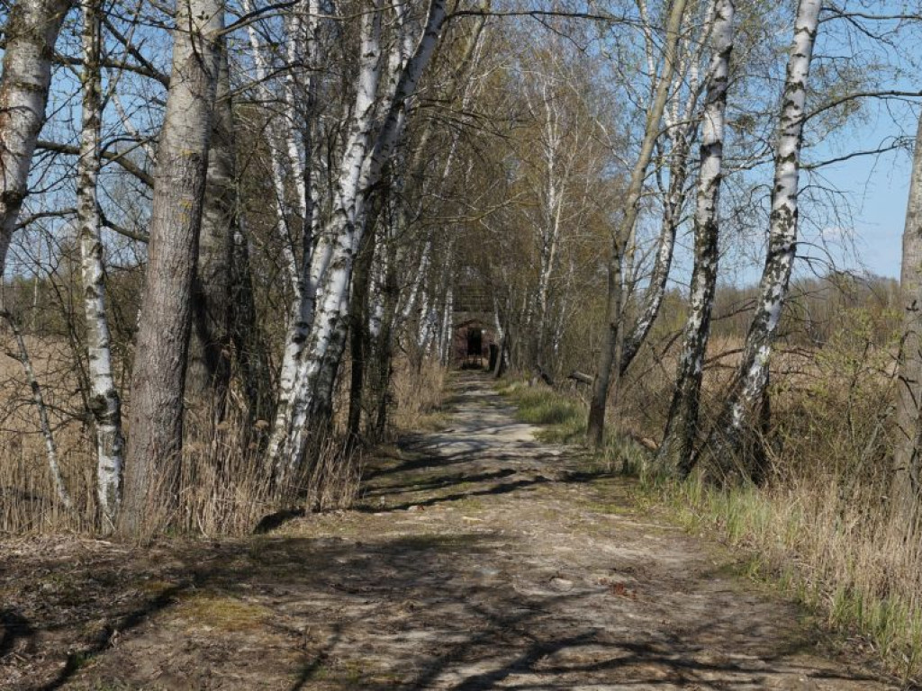 Poleski Park Narodowy - zdjęcia