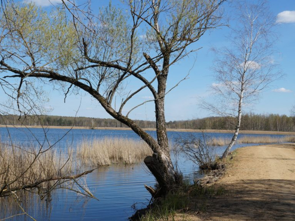 Poleski Park Narodowy - zdjęcia