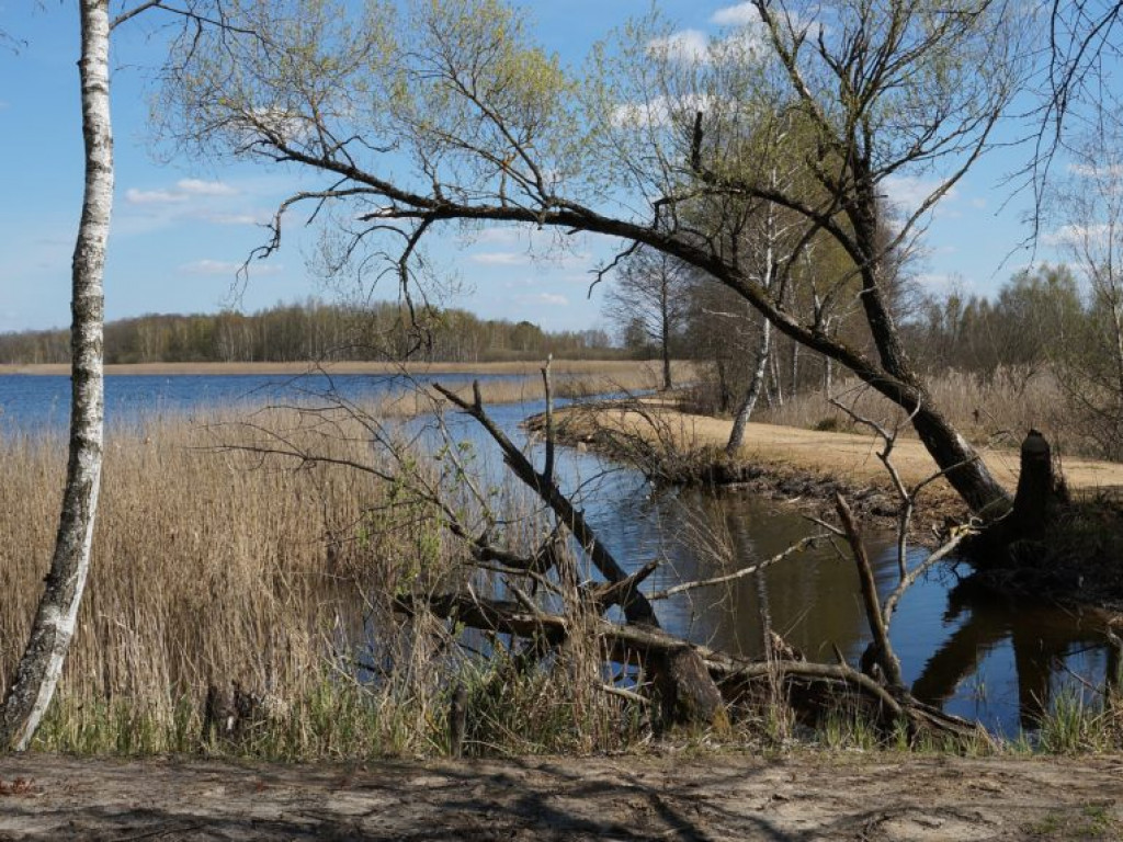 Poleski Park Narodowy - zdjęcia