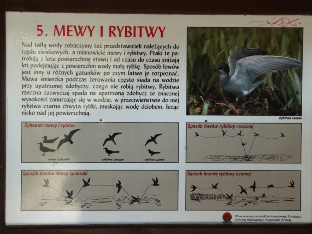 Poleski Park Narodowy - zdjęcia