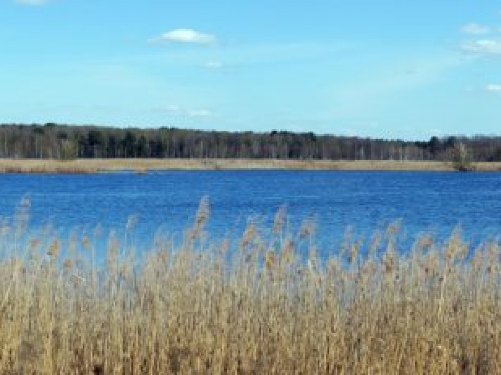 Poleski Park Narodowy - zdjęcia