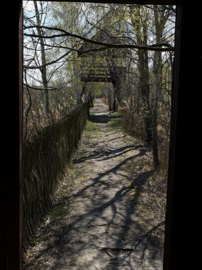 Poleski Park Narodowy - zdjęcia