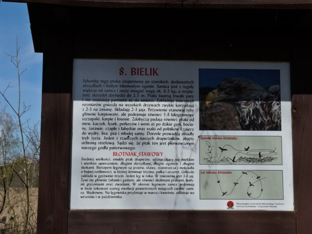 Poleski Park Narodowy - zdjęcia