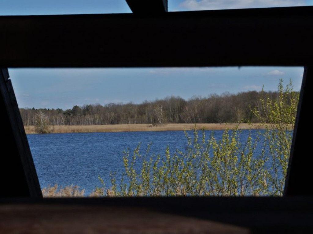 Poleski Park Narodowy - zdjęcia