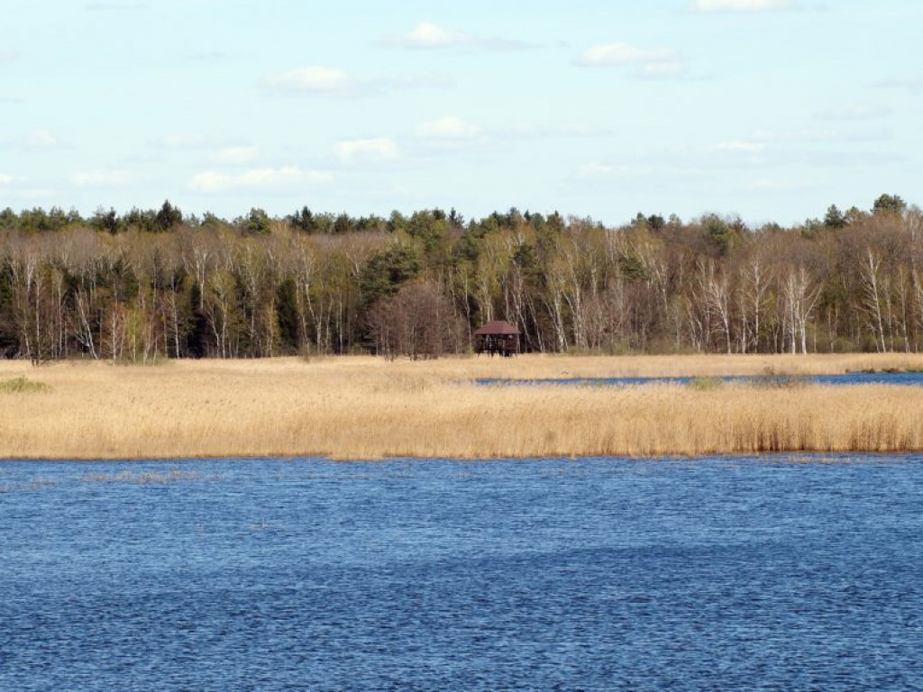 Poleski Park Narodowy - zdjęcia