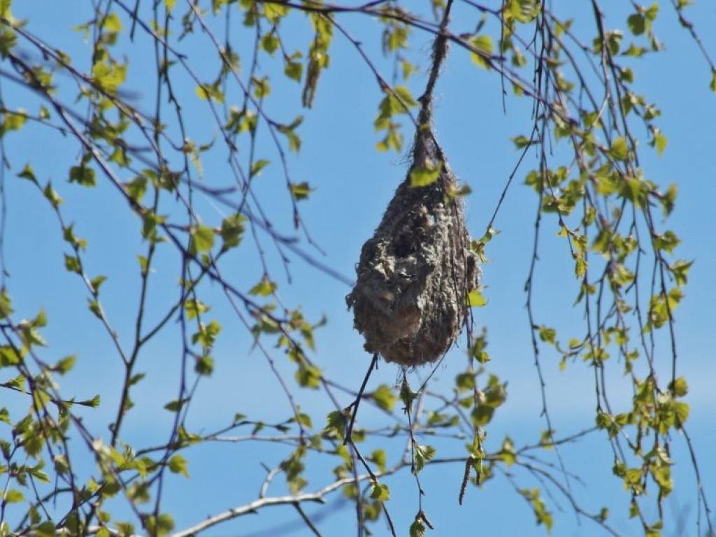 Poleski Park Narodowy - zdjęcia