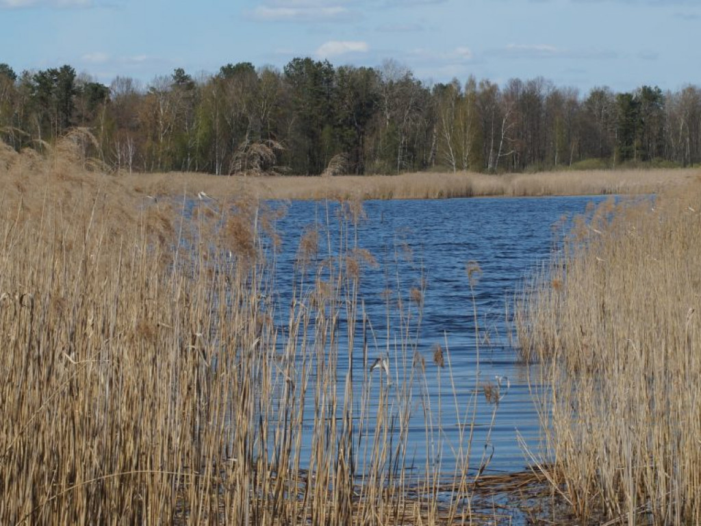 Poleski Park Narodowy - zdjęcia