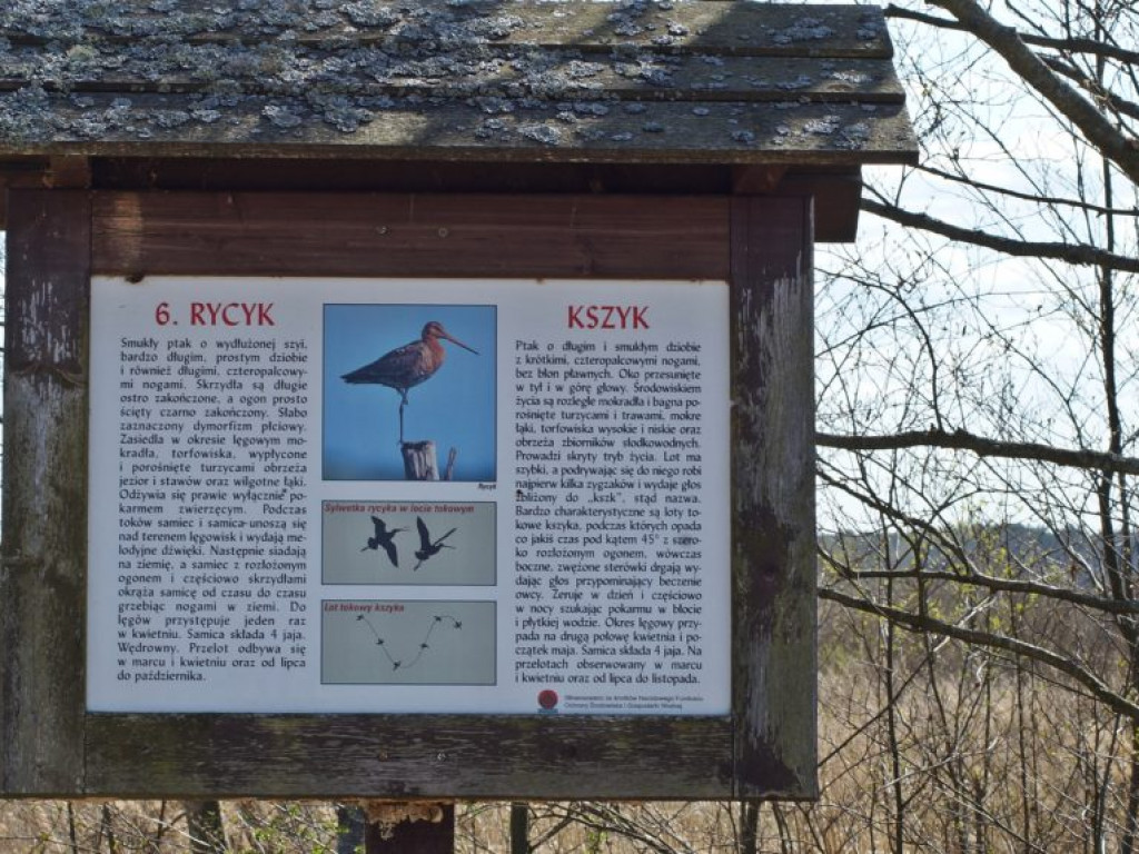 Poleski Park Narodowy - zdjęcia
