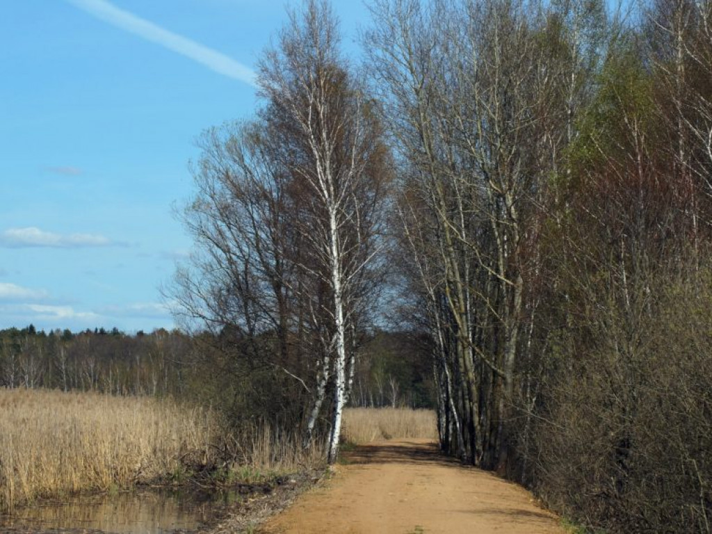 Poleski Park Narodowy - zdjęcia