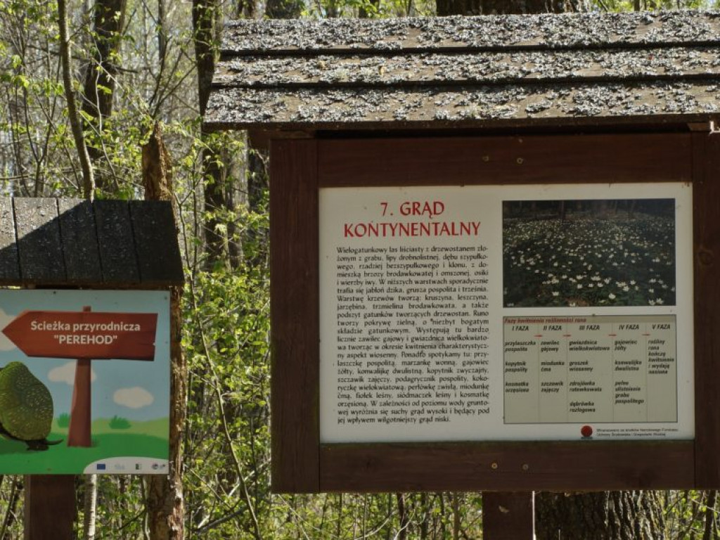 Poleski Park Narodowy - zdjęcia