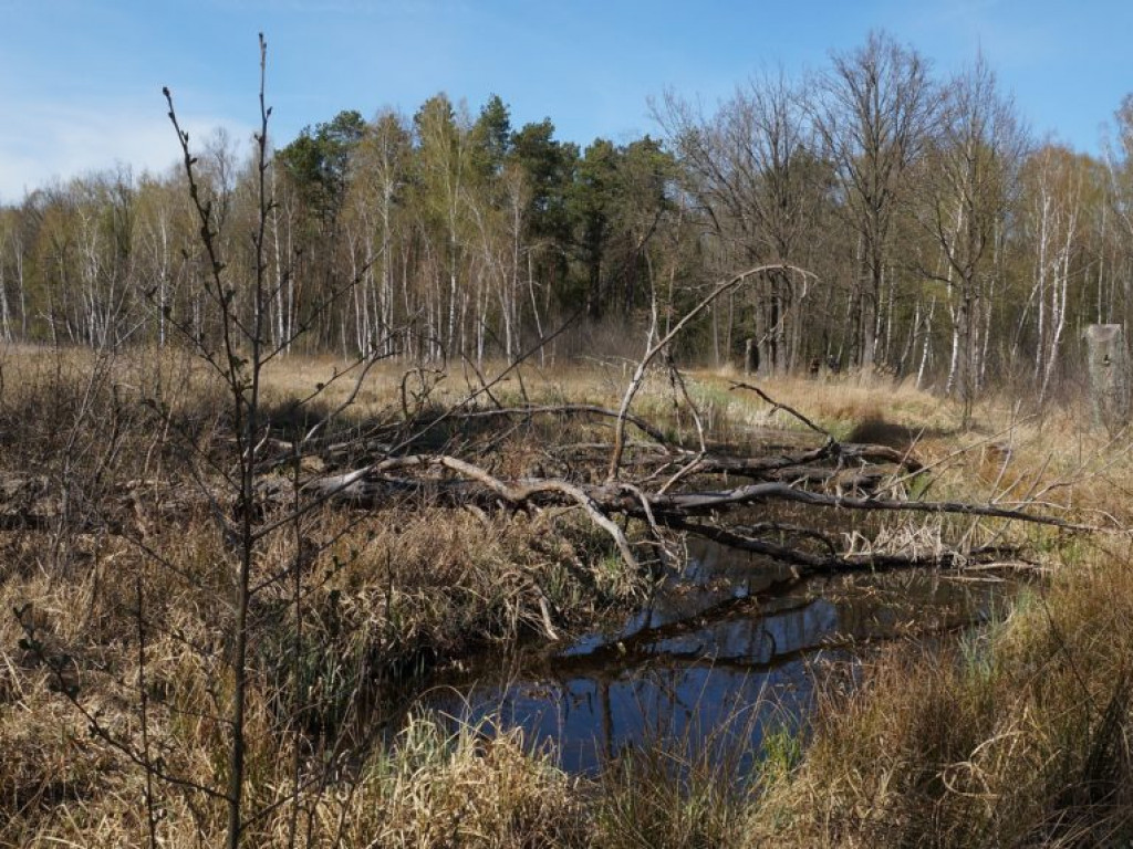 Poleski Park Narodowy - zdjęcia