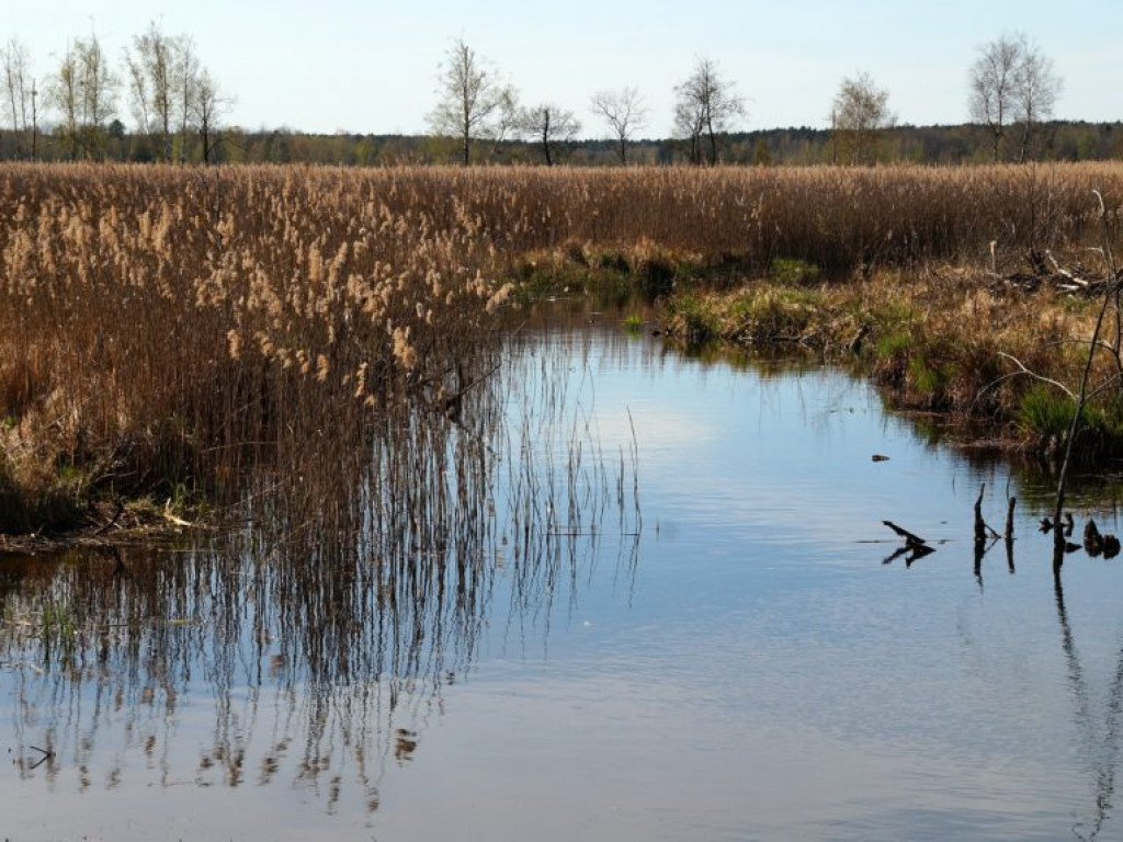 Poleski Park Narodowy - zdjęcia