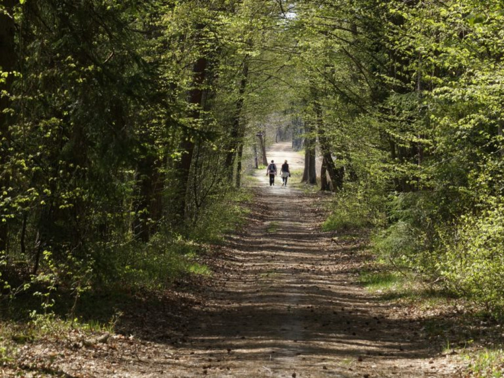Poleski Park Narodowy - zdjęcia