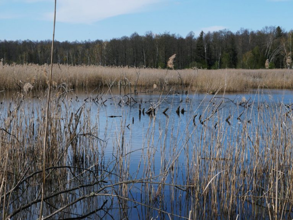 Poleski Park Narodowy - zdjęcia