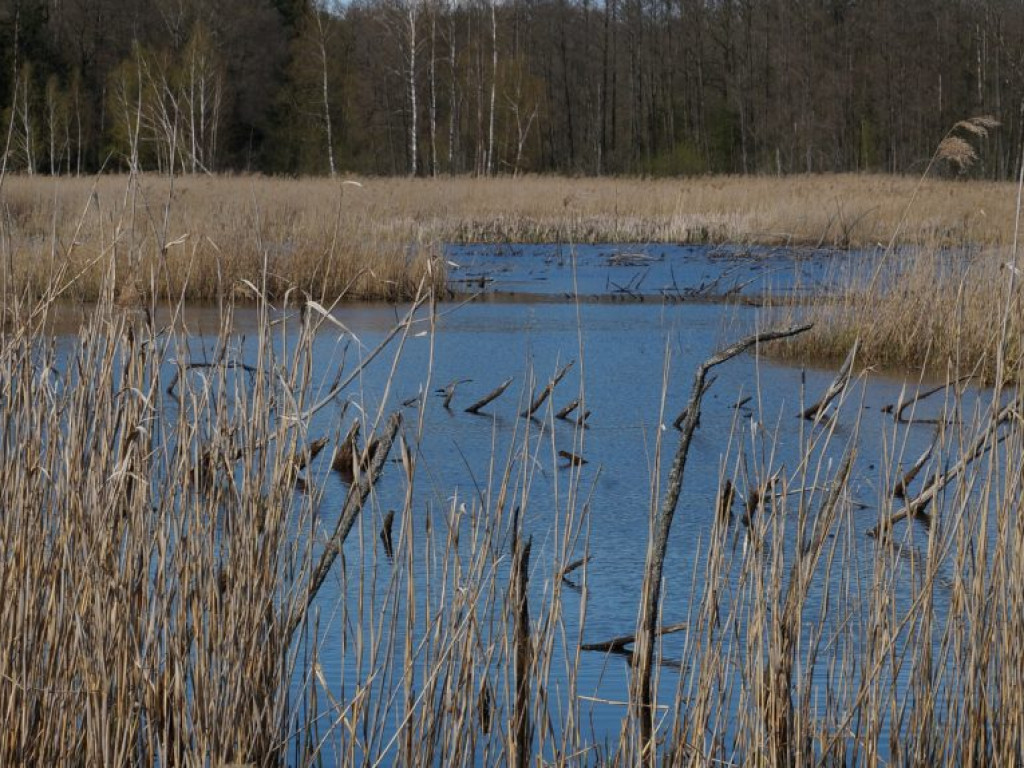 Poleski Park Narodowy - zdjęcia