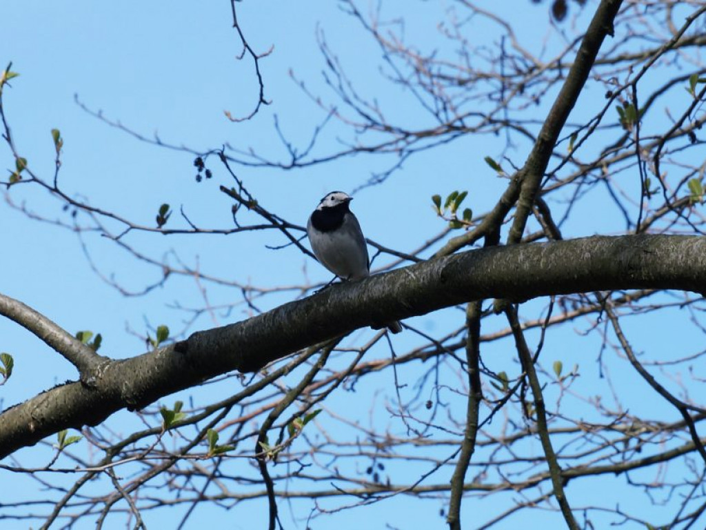 Poleski Park Narodowy - zdjęcia