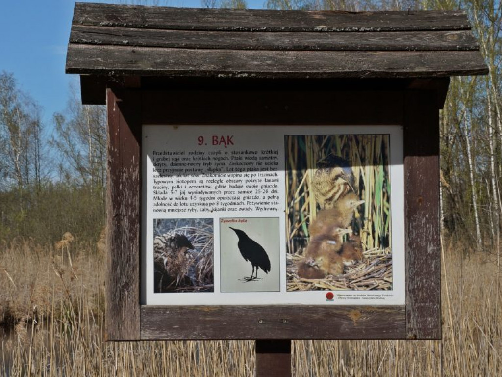 Poleski Park Narodowy - zdjęcia