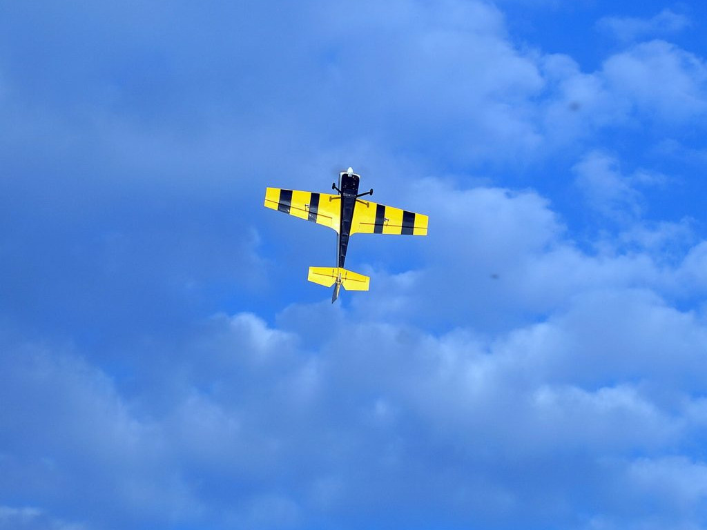 Początek sezonu dla radzyńskich modelarzy