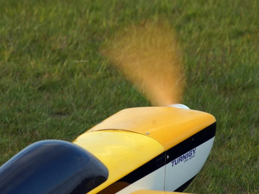 Początek sezonu dla radzyńskich modelarzy