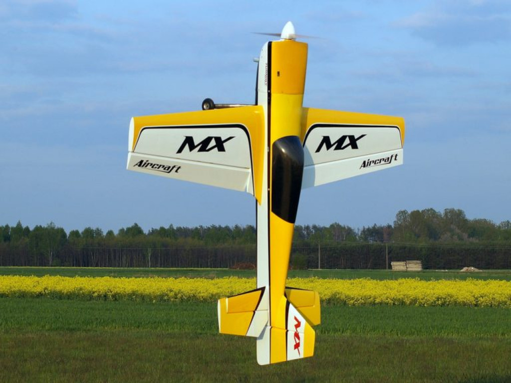 Początek sezonu dla radzyńskich modelarzy