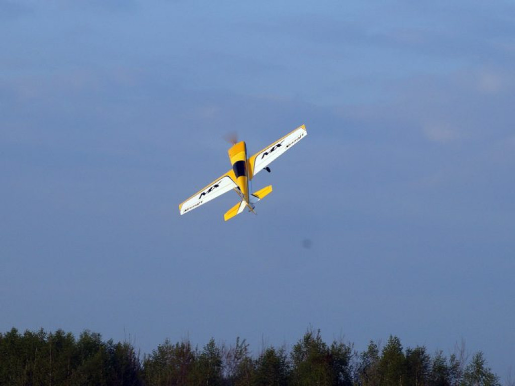 Początek sezonu dla radzyńskich modelarzy