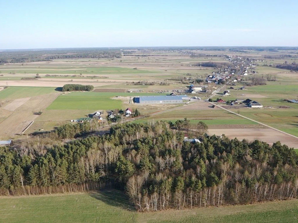 Kąkolewnica z lotu drona