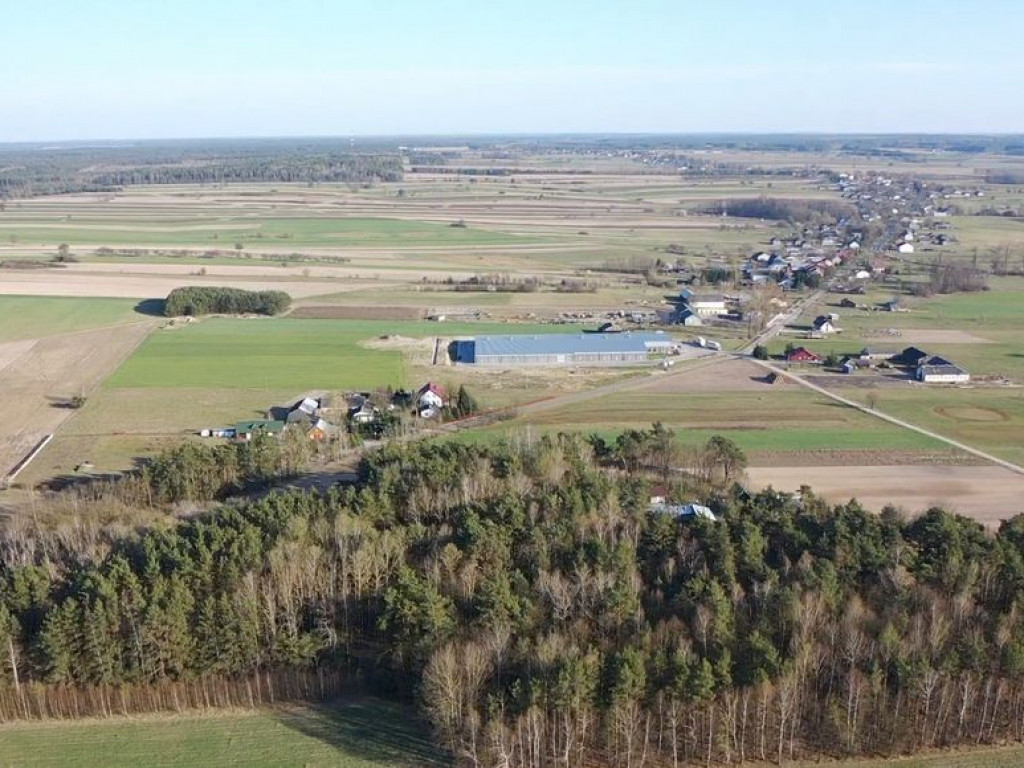 Kąkolewnica z lotu drona