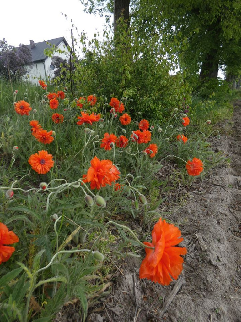 Wycieczka Radzyńskiej Grupy Rowerowej 