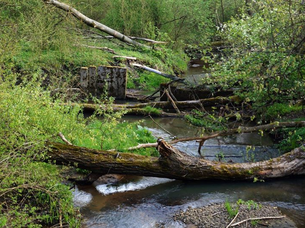 Drohiczyn - zdjęcia