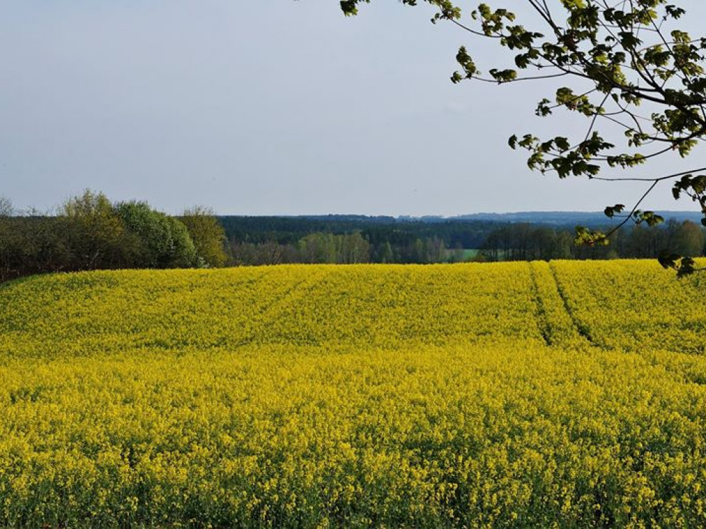 Drohiczyn - zdjęcia