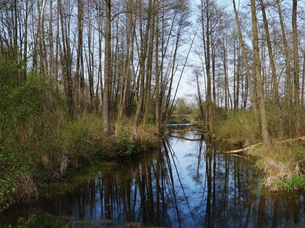 Drohiczyn - zdjęcia