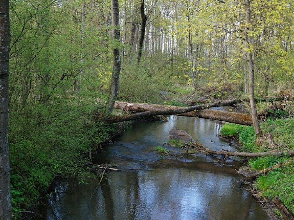 Drohiczyn - zdjęcia