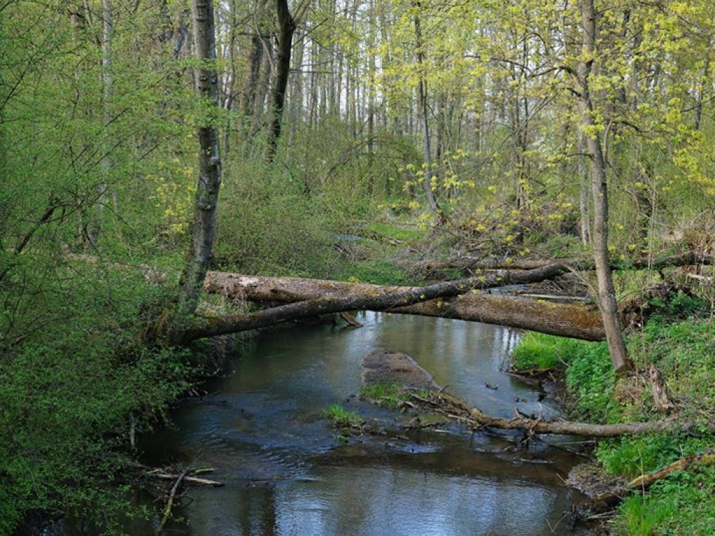 Drohiczyn - zdjęcia