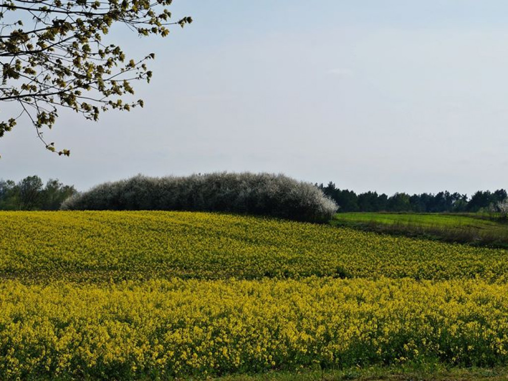 Drohiczyn - zdjęcia