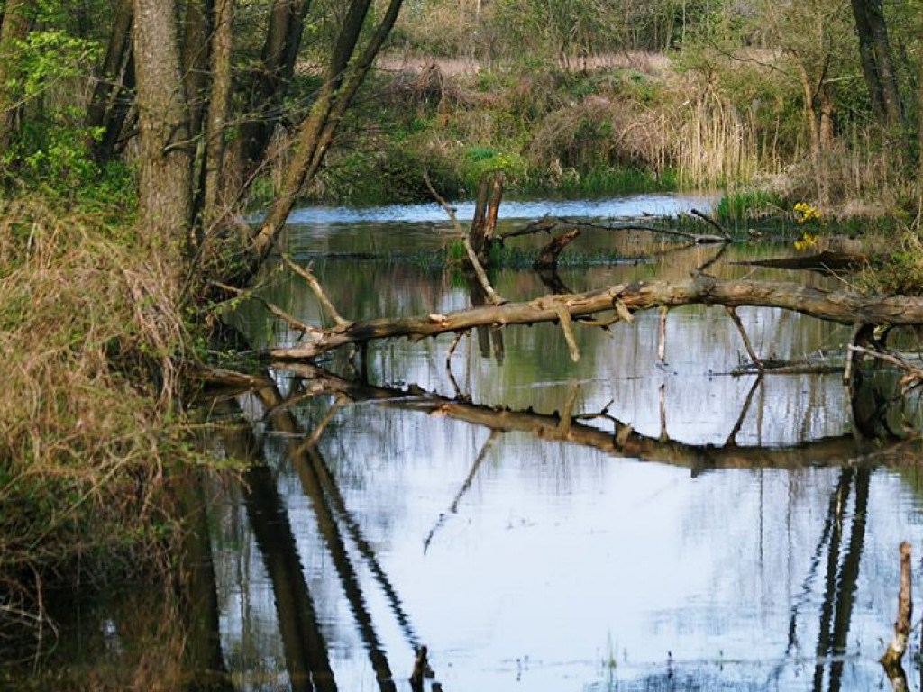 Drohiczyn - zdjęcia
