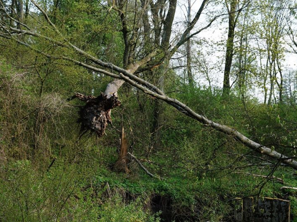 Drohiczyn - zdjęcia