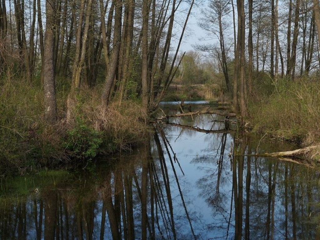 Drohiczyn - zdjęcia