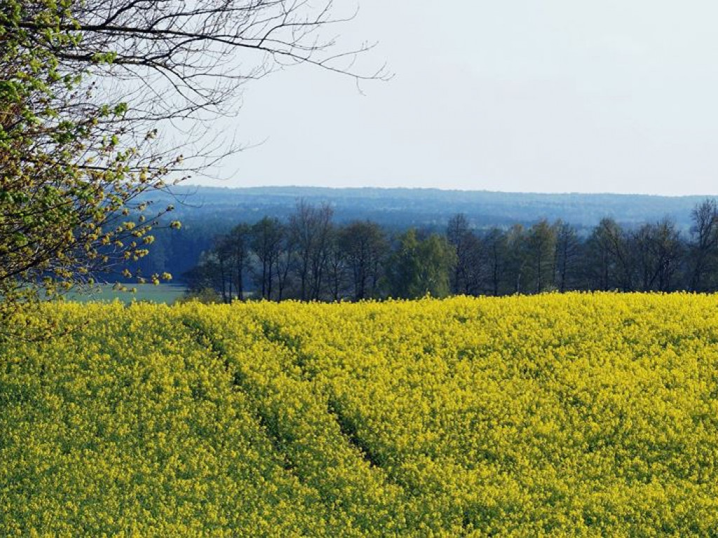 Drohiczyn - zdjęcia