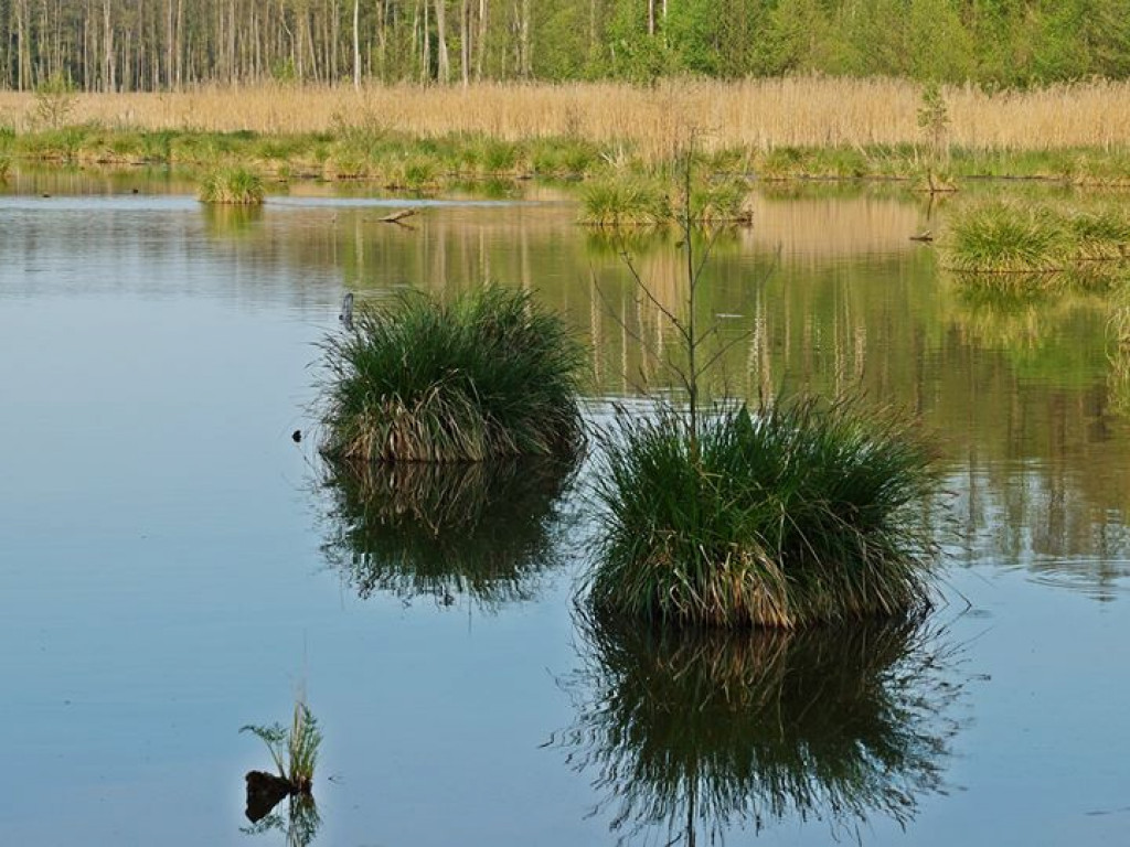 Ścieżka przyrodnicza Bobrówka - zdjęcia