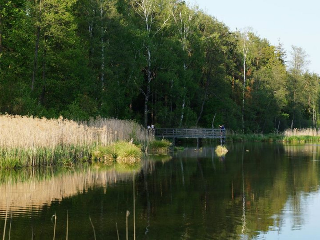 Ścieżka przyrodnicza Bobrówka - zdjęcia