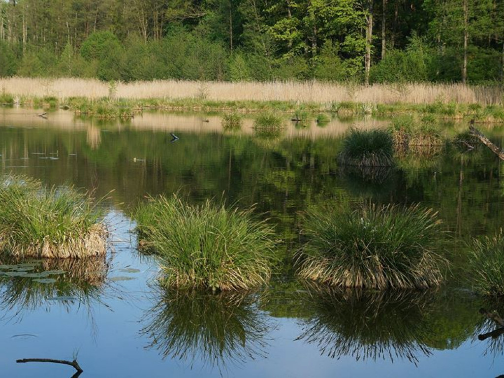 Ścieżka przyrodnicza Bobrówka - zdjęcia
