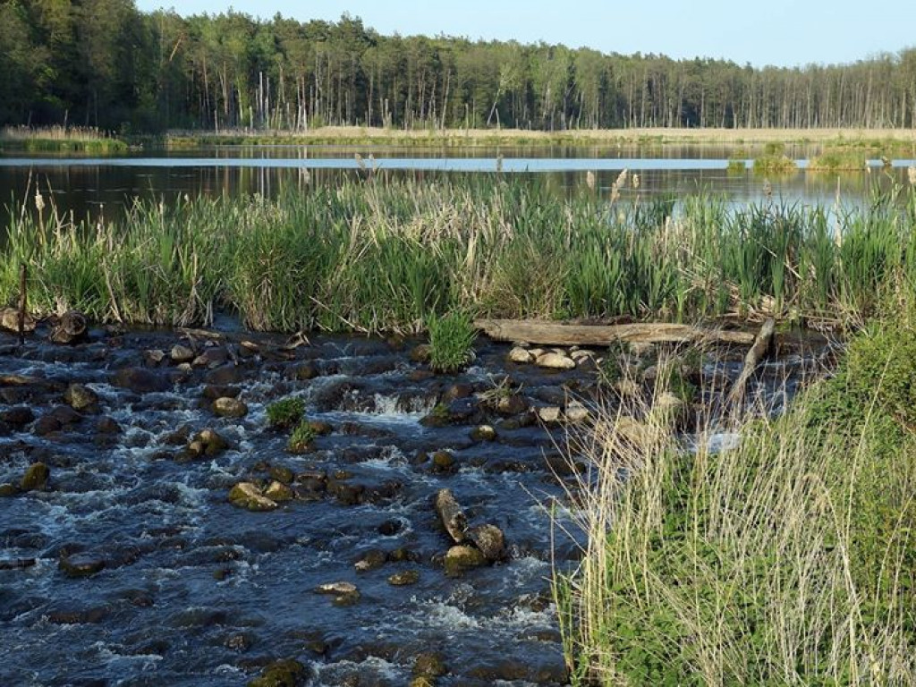 Ścieżka przyrodnicza Bobrówka - zdjęcia