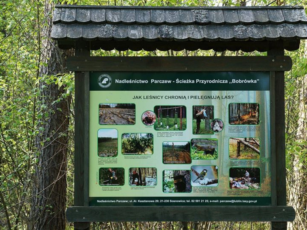 Ścieżka przyrodnicza Bobrówka - zdjęcia