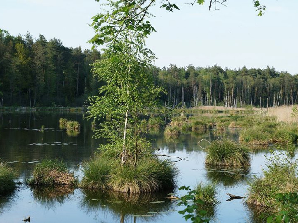 Ścieżka przyrodnicza Bobrówka - zdjęcia