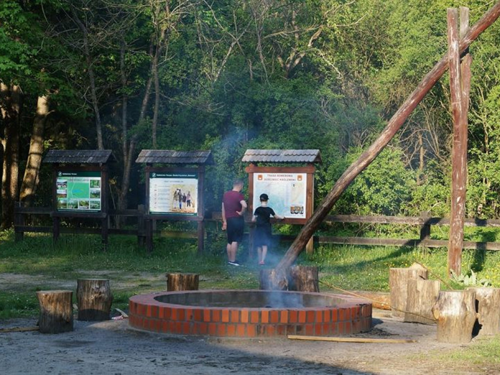 Ścieżka przyrodnicza Bobrówka - zdjęcia