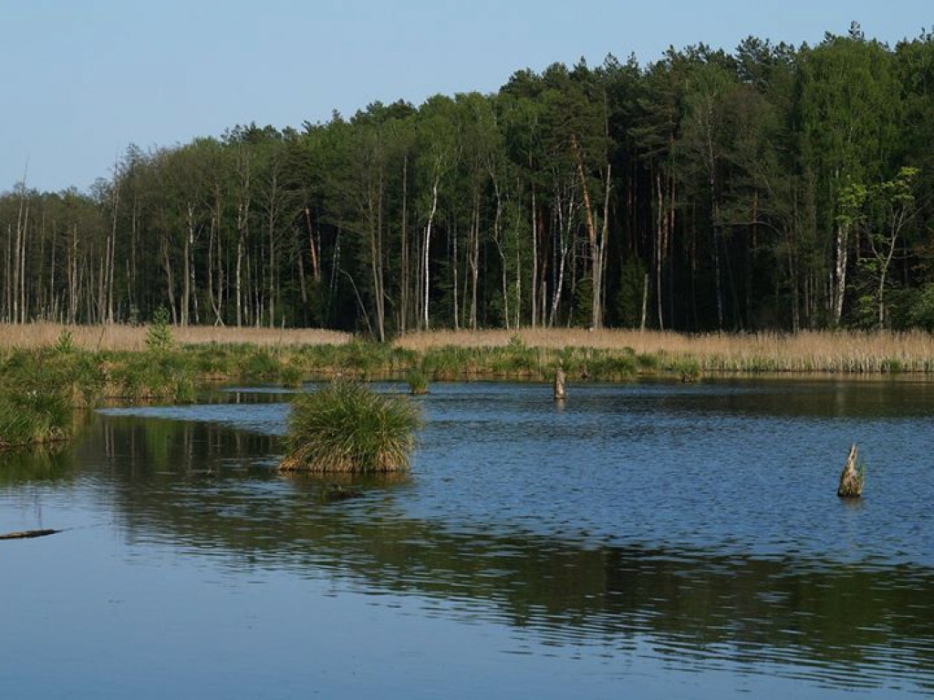 Ścieżka przyrodnicza Bobrówka - zdjęcia