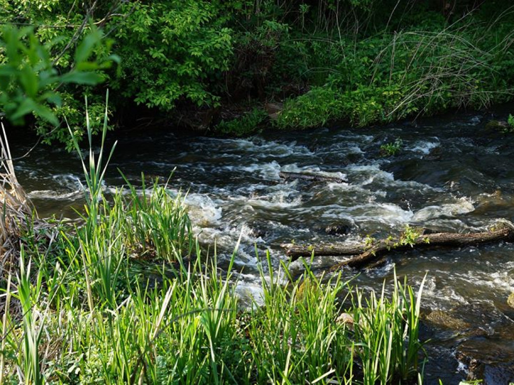 Ścieżka przyrodnicza Bobrówka - zdjęcia