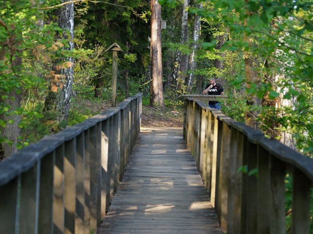 Ścieżka przyrodnicza Bobrówka - zdjęcia