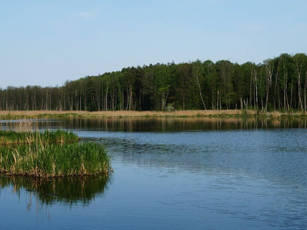 Ścieżka przyrodnicza Bobrówka - zdjęcia